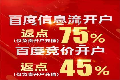 某行业巨头如何利用百度推广服务费提升业绩